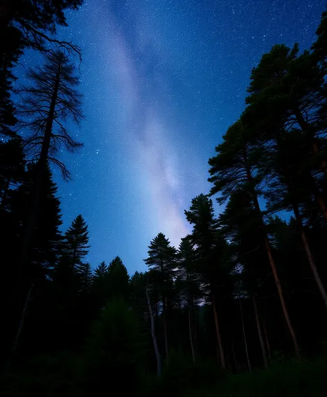 milkyway from forest