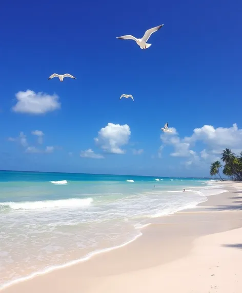 nokomis beach in florida