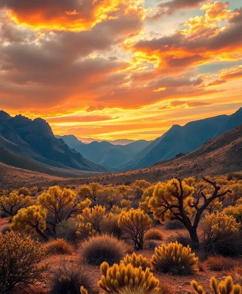 huachuca mountains