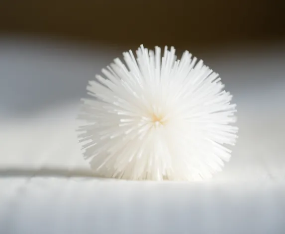 white pom