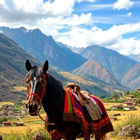 peruvian horse