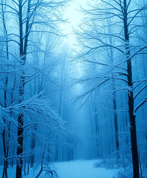 winter forest aesthetic