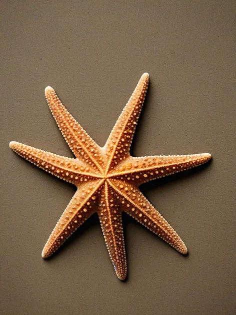 starfish tattoo