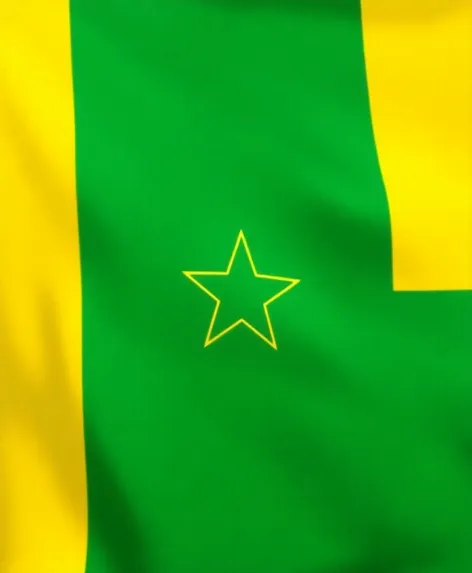 senegal country flag