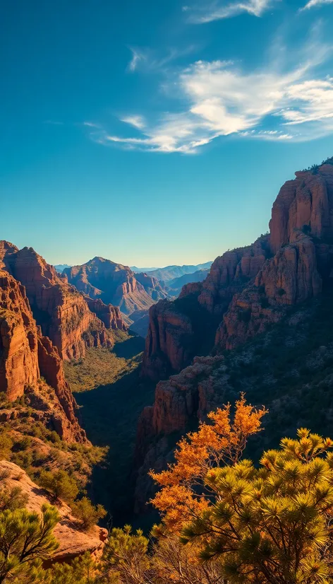 mount lemmon rose canyon