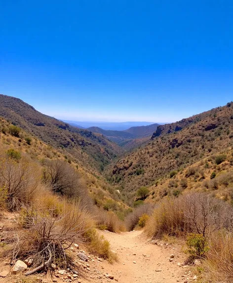 claremont canyon regional preserve