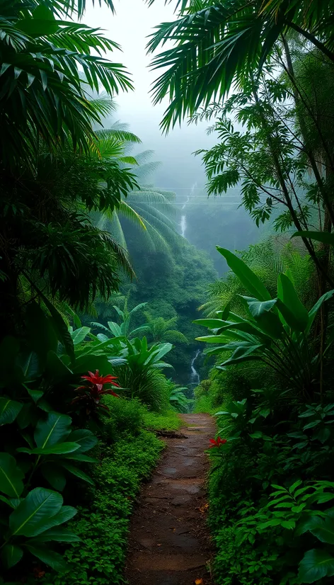 hoapili trail