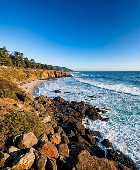 dash point state park