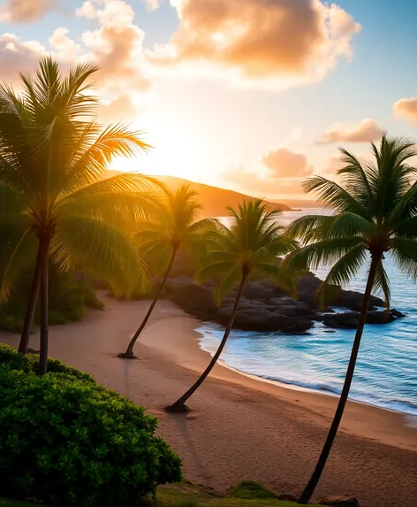 kahana beach park oahu