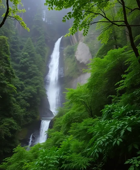 ramona falls trail