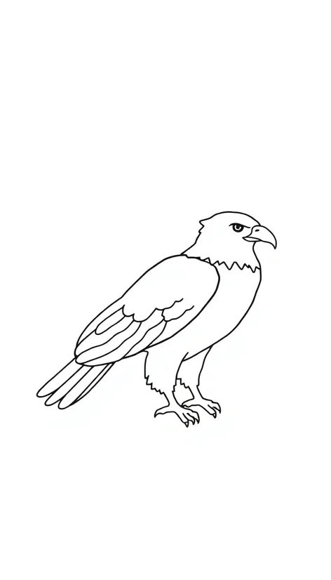 eagle drawing easy