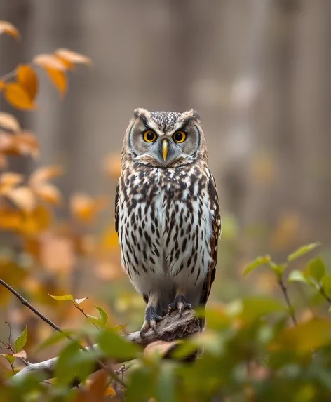 owls in michigan