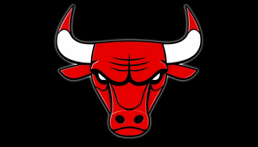 nba chicago bulls logo