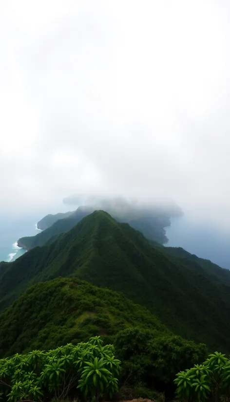 tantalus lookout puu ualakaa