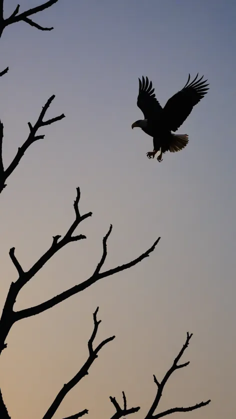 eagle silhouette