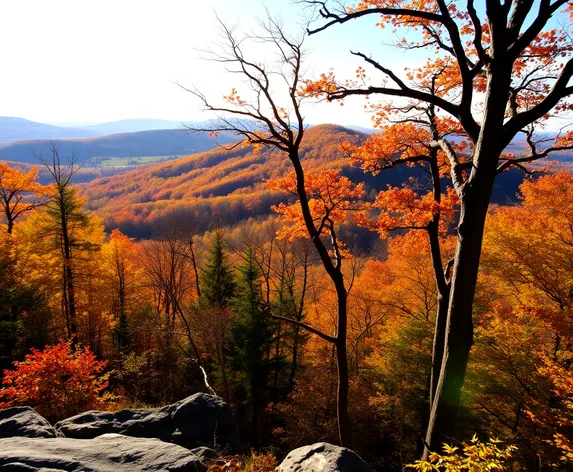 allamuchy mountain state park