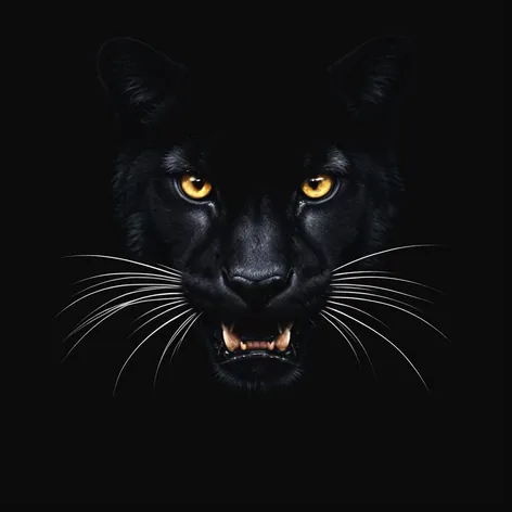 black cougar