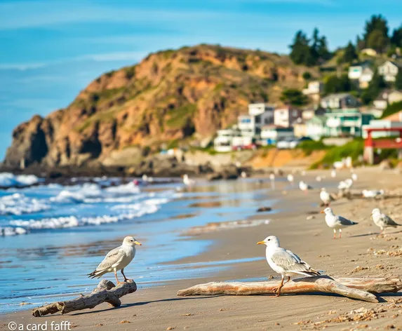 pacific beach wa