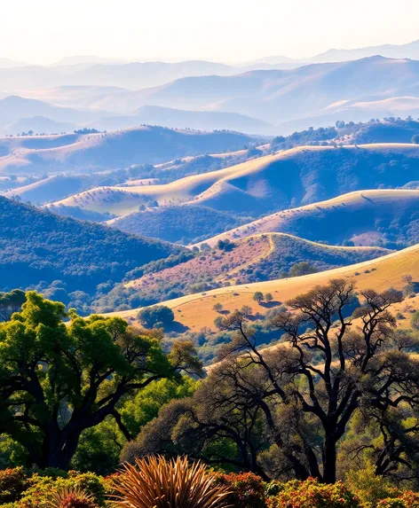 monte bello open space