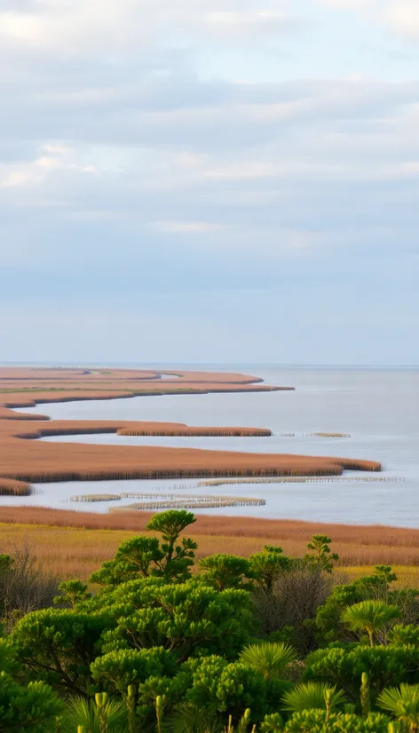 cypremort point state park