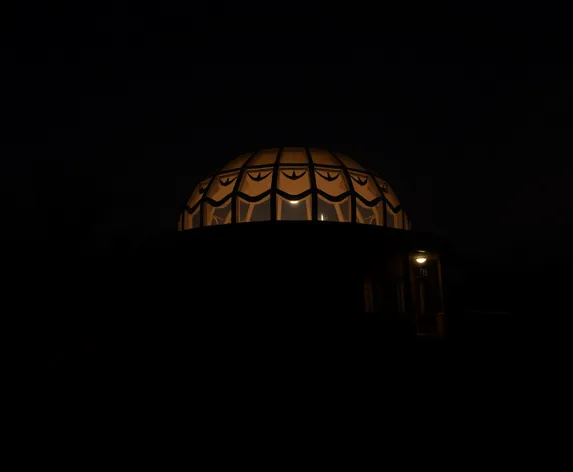 statesman bat observation center