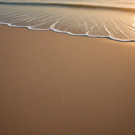 beach silhouette