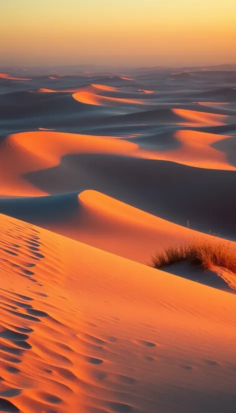 pismo beach sand dunes