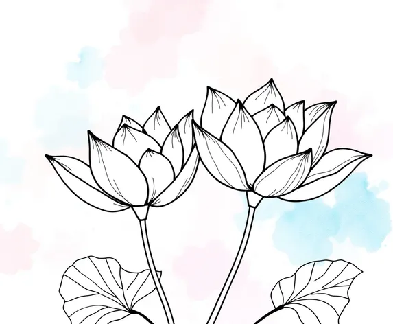 lotus line art