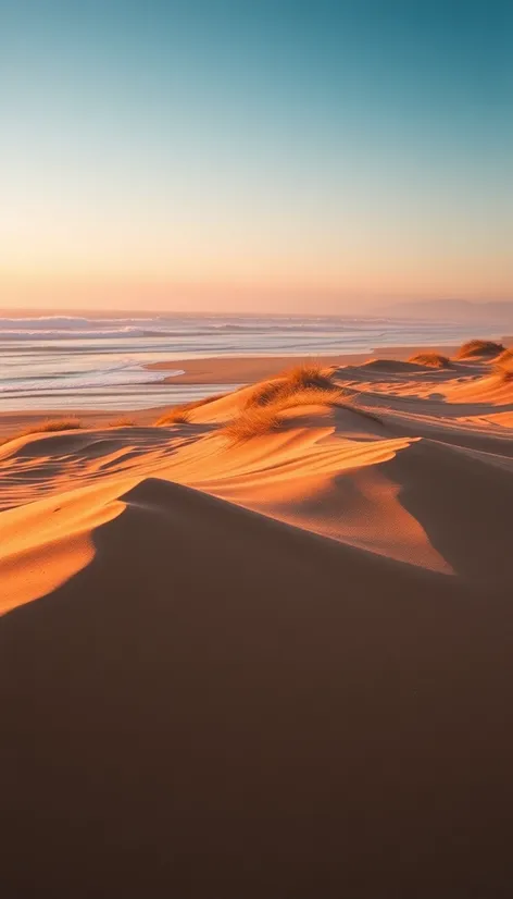 pismo beach sand dunes