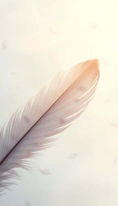 feather drawing