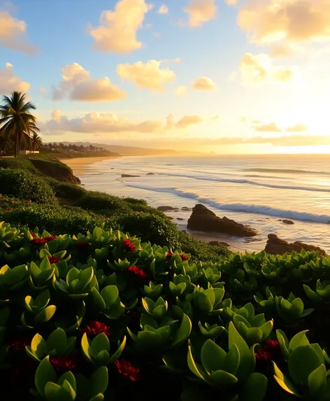 pupukea beach park