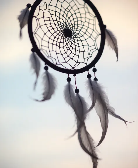 bliss hair dreamcatcher