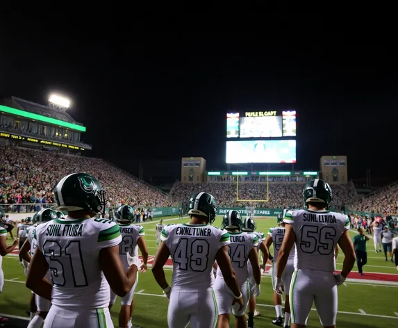 usf football