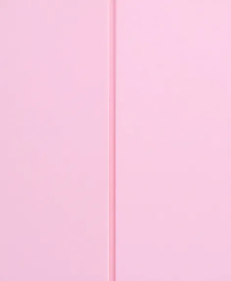 pink folder