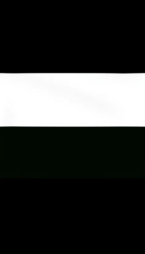 kuwait flag