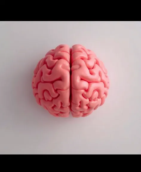 smallest brain image