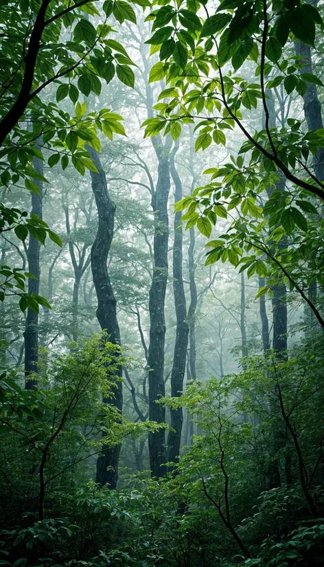 green leaves