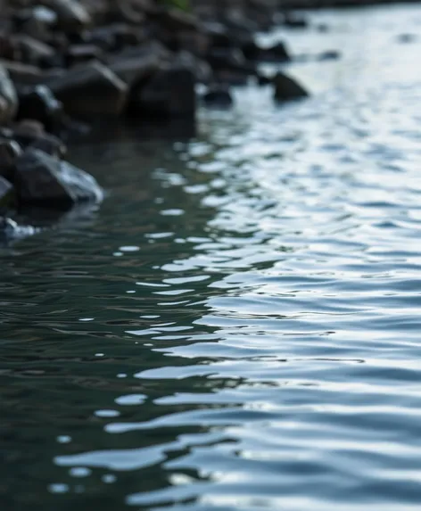 rock meditation water logo