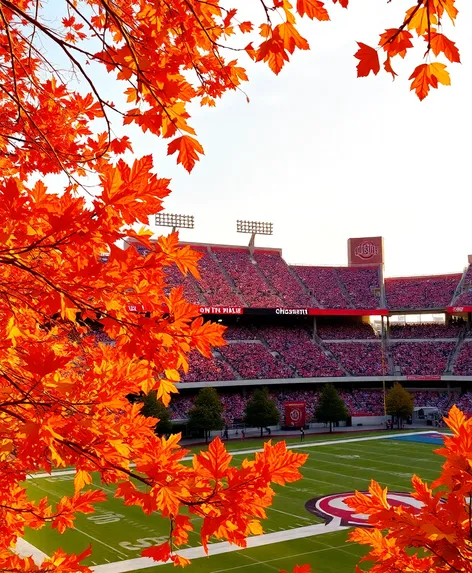 ohio state football