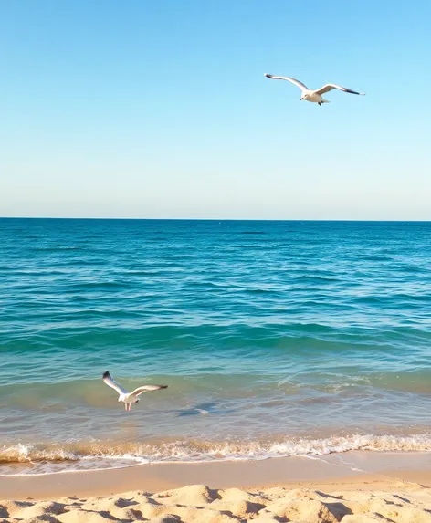 blind pass beach