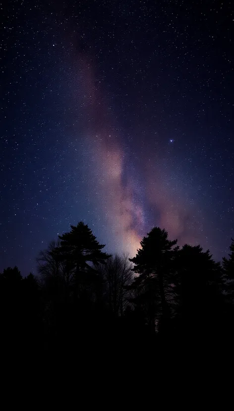 starry sky with woods