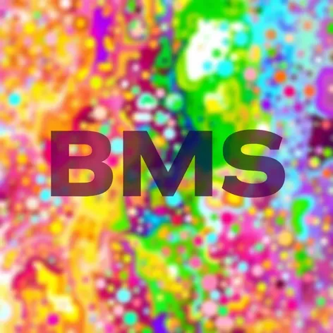 b m s logo