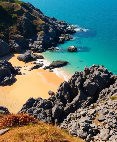 new zealand beaches