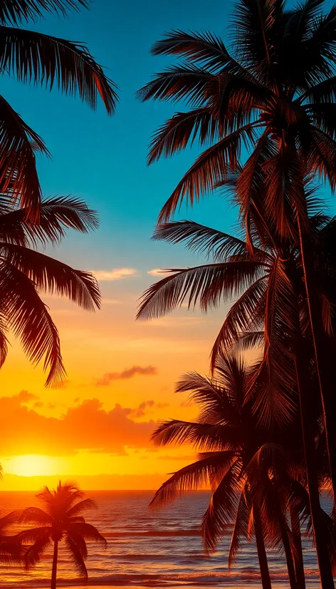 tropical sunset background