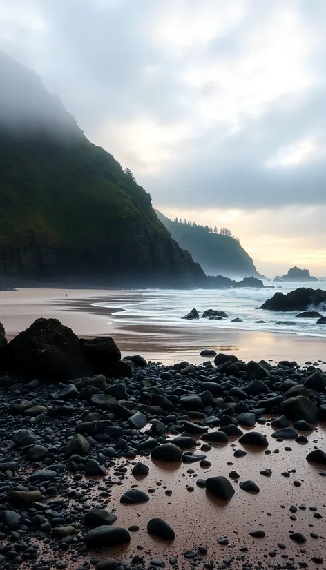 piha new zealand