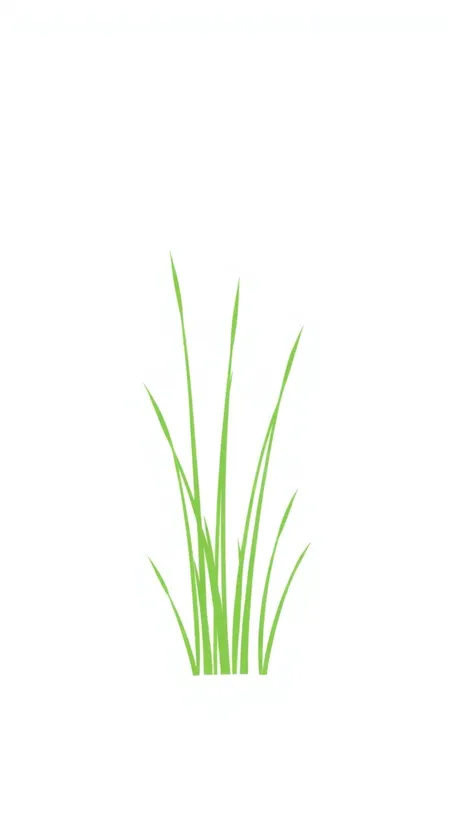 buffalo grass easy drawing