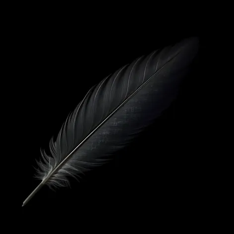 raven feather