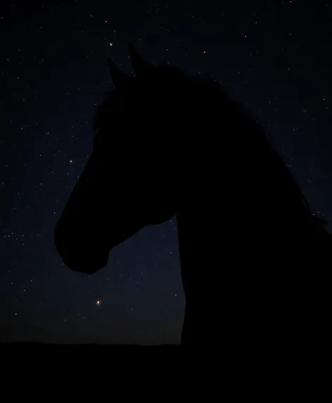 horse silhouette head