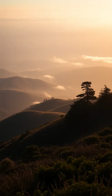 mission peak california