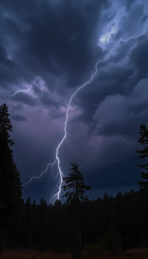 lightning strikes tree